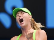 3377- 卡拉波勋章任务流程 