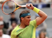 3377体育-纳达尔在法国队比赛中比分优势明显，势不可挡引发热议！的简单介绍