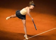 3377体育-穆古鲁扎遭遇七连败，瑞士队教练面临压力！的简单介绍