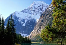 3377- 板球常规赛掀起高潮，陇右白虎队大胜江南天狼队，战至最后一刻——定海神针仍在